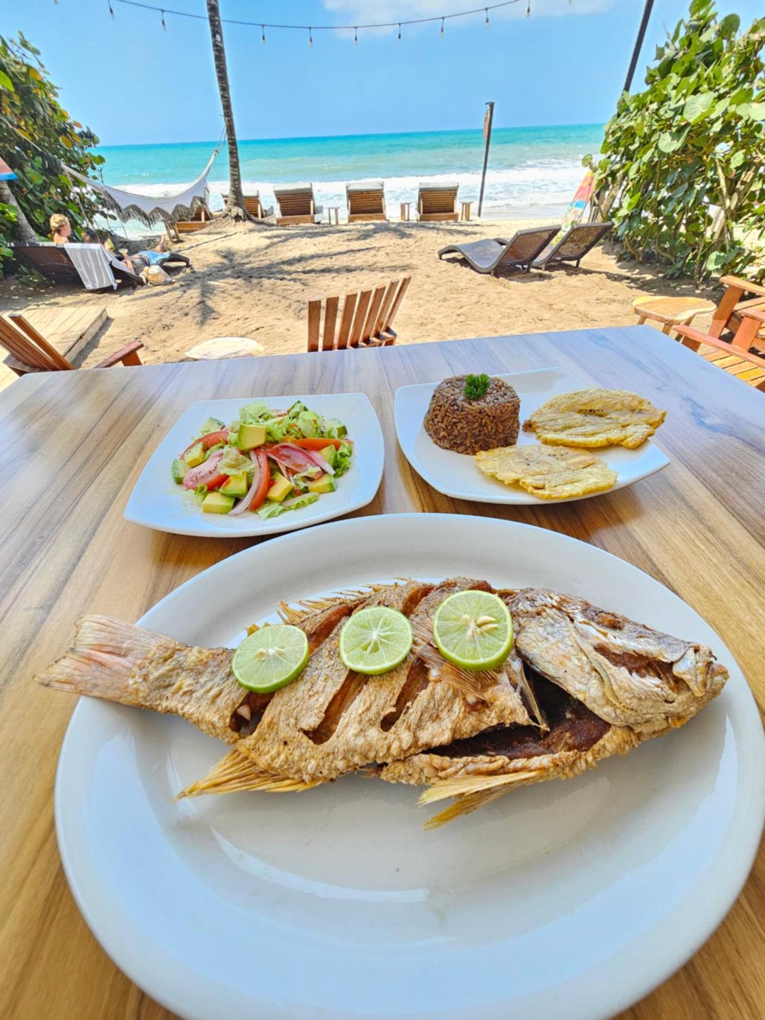 Makao Beach Hotel Palomino Exteriör bild